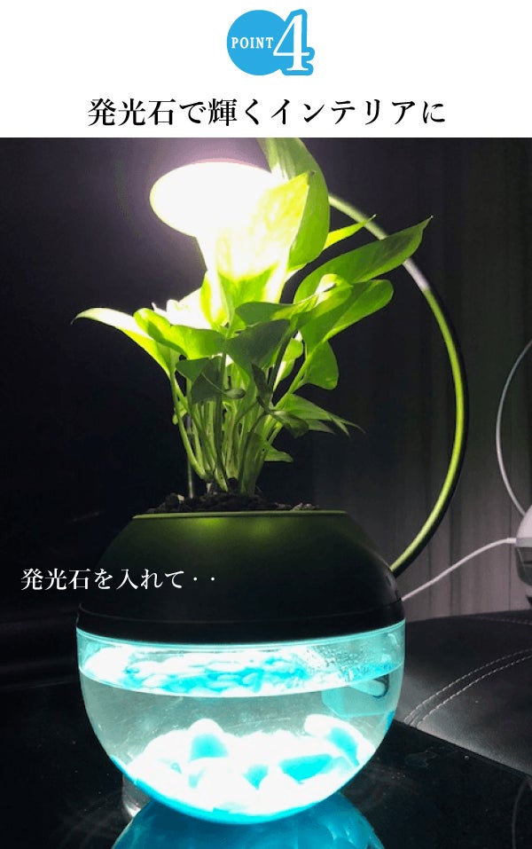 間接照明に「生命」を。植物と魚を育成できるLEDライト。水換えお