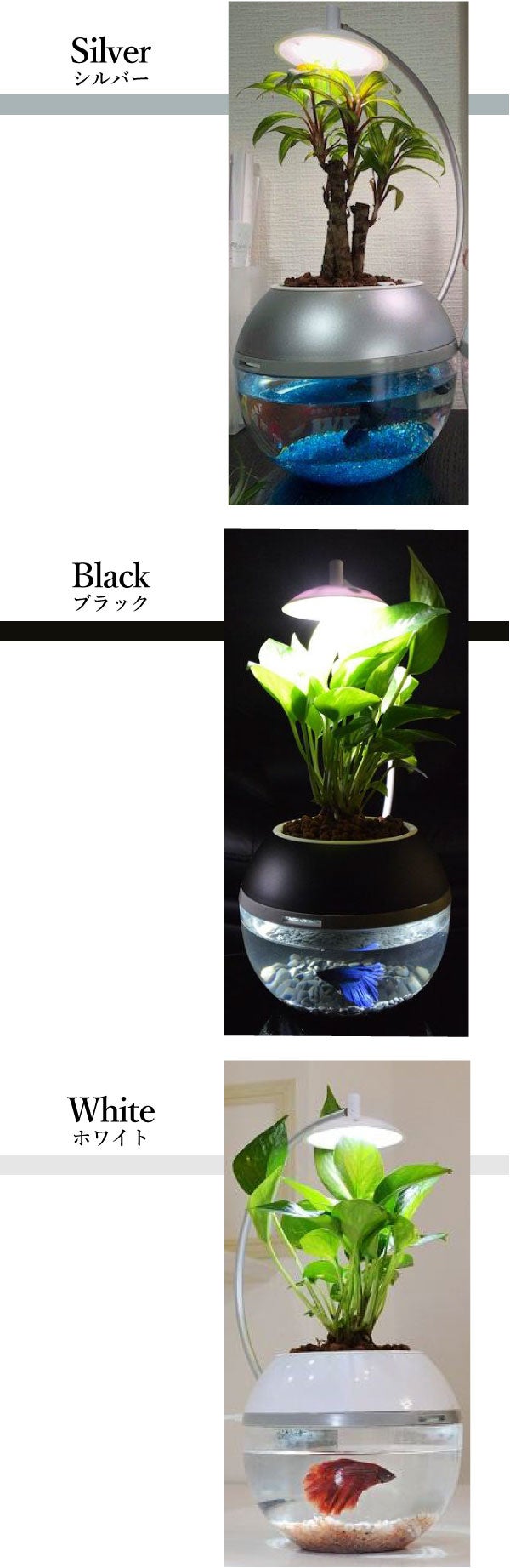 間接照明に「生命」を。植物と魚を育成できるLEDライト。水換えお