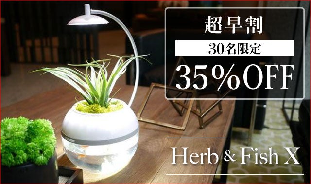 間接照明に「生命」を。植物と魚を育成できるLEDライト。水換えお