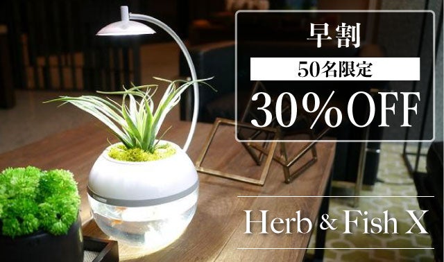 間接照明に「生命」を。植物と魚を育成できるLEDライト。水換えお
