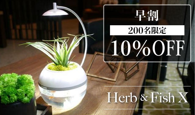 間接照明　植物　癒し 間接照明 植物 癒し