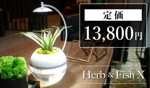 間接照明　植物　癒し 間接照明に「生命」を。植物と魚を育成できるLEDライト。水換え