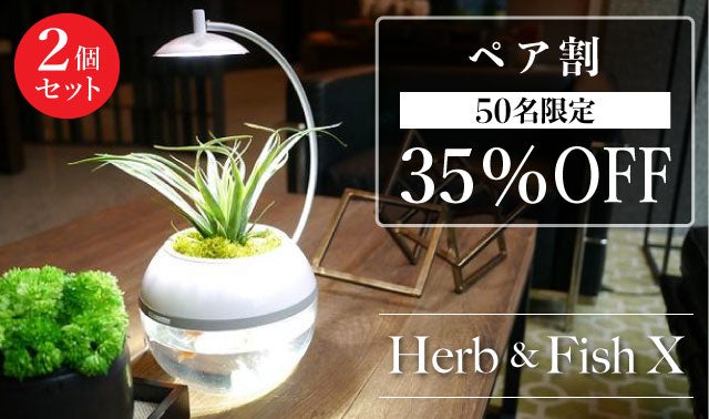間接照明に「生命」を。植物と魚を育成できるLEDライト。水換えお