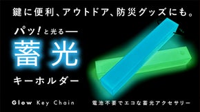 【ホテルキーの形】もうバッグをゴソゴソしない暗闇で光る「蓄光キーホルダー」ブルー