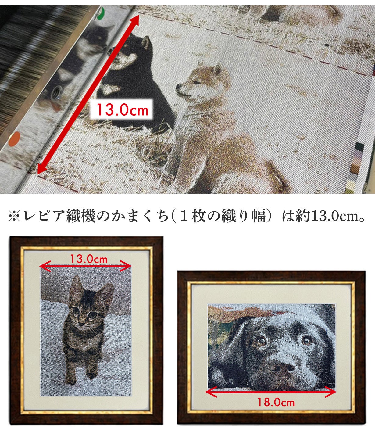 愛犬・愛猫を京都西陣織で永遠に。8色の絹糸が織りなす、写真を超えた