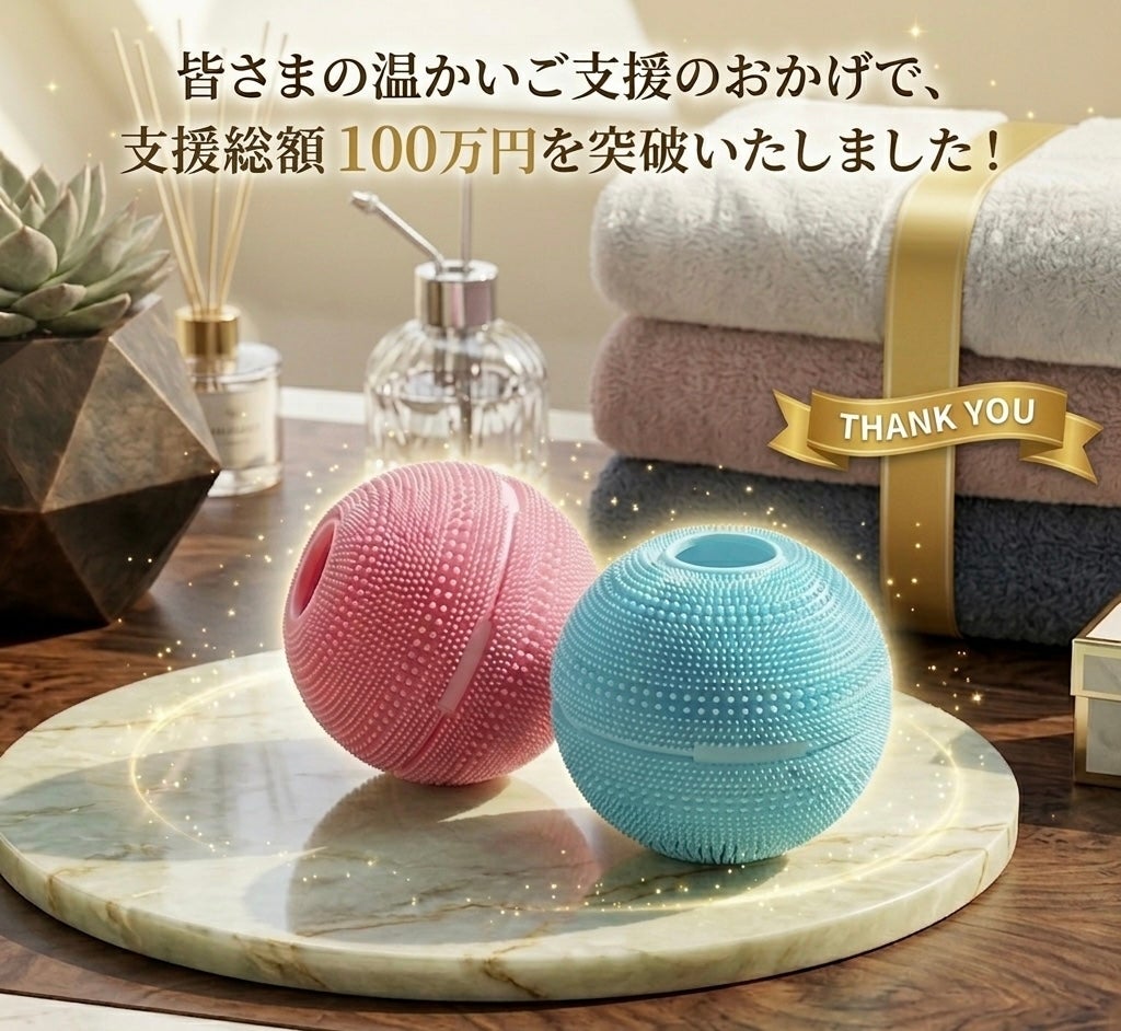 実績を重ねたモデルが進化。大型フィルター×通水構造の洗濯ボールPro