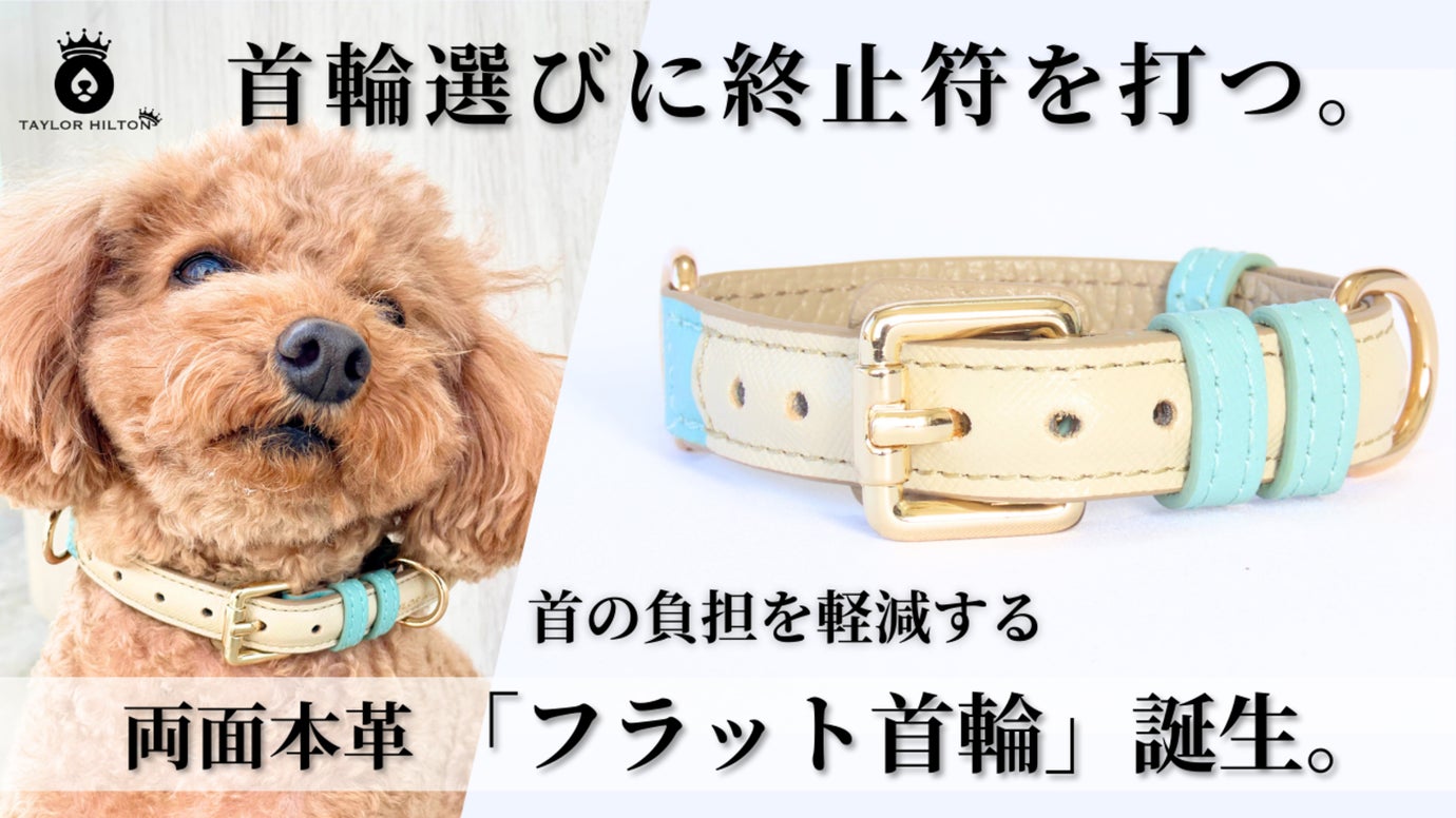 首の負担を軽減する本革「フラット首輪」誕生。ヒューマンクオリティーを愛犬に。