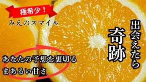 贈答クラス体験！幻の柑橘『みえのスマイル』&times;超レアな国産グレープフルーツをお届け