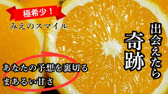 贈答クラス体験！幻の柑橘『みえのスマイル』&times;超レアな国産グレープフルーツをお届け