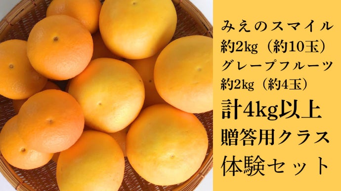 贈答クラス体験！幻の柑橘『みえのスマイル』×超レアな国産
