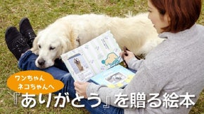 あなたのペットが主人公の絵本が作れます。同時に盲導犬や犬猫を救う事に繋がります。