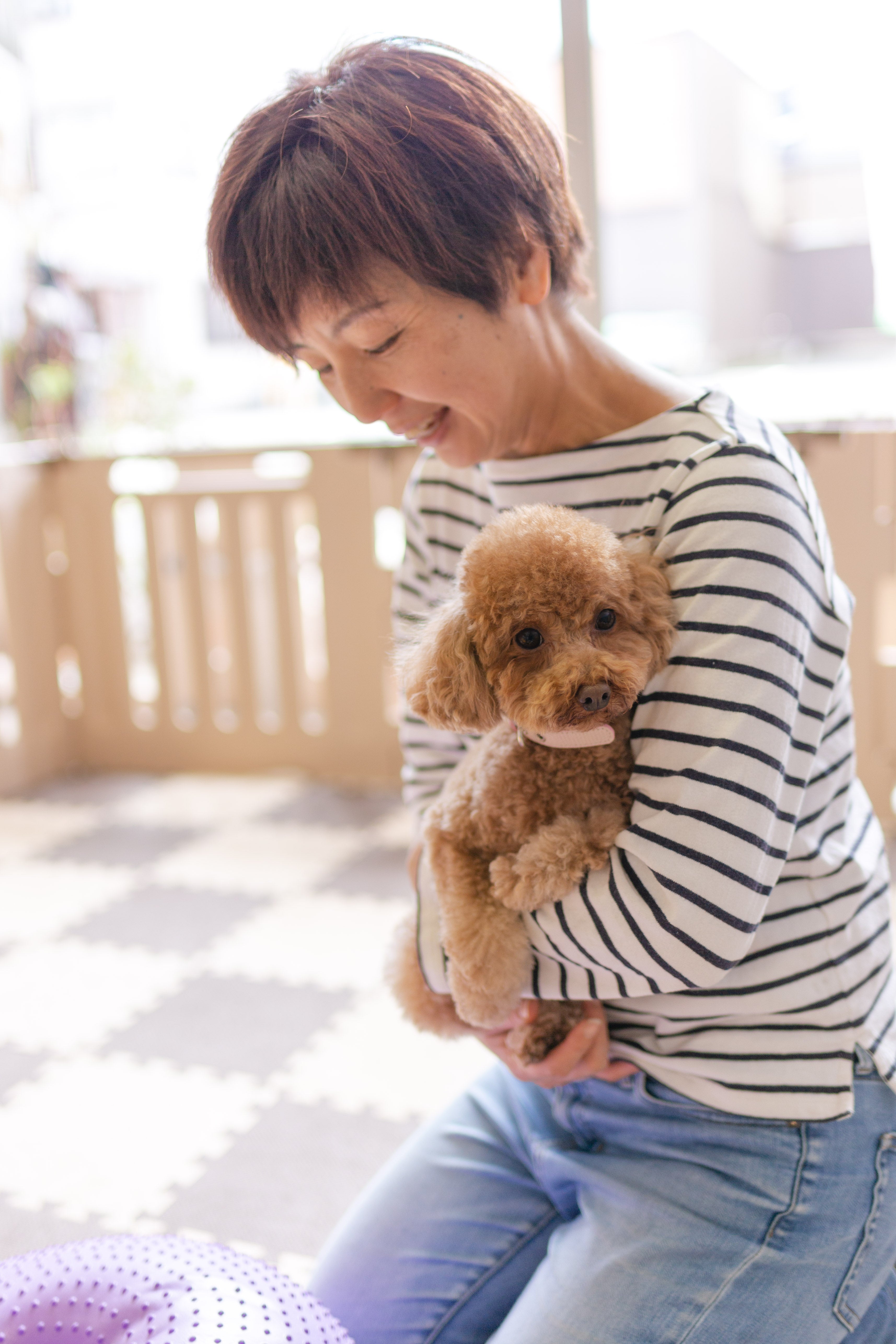 猛暑も雨も怖くない。犬用ソファが「愛犬の後肢を鍛える」マットに