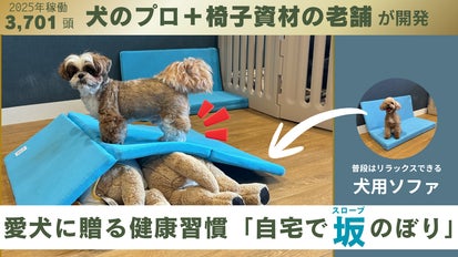 猛暑も雨も怖くない。犬用ソファが「愛犬の後肢を鍛える」マットに