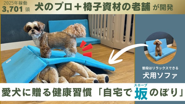 猛暑も雨も怖くない。犬用ソファが「愛犬の後肢を鍛える」マットに。AirSlope