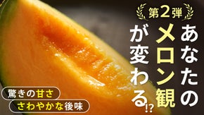 【第2弾】1玉ずつ収穫でしっかり甘い！選べる2色の【糖度15度以上】飯岡メロン