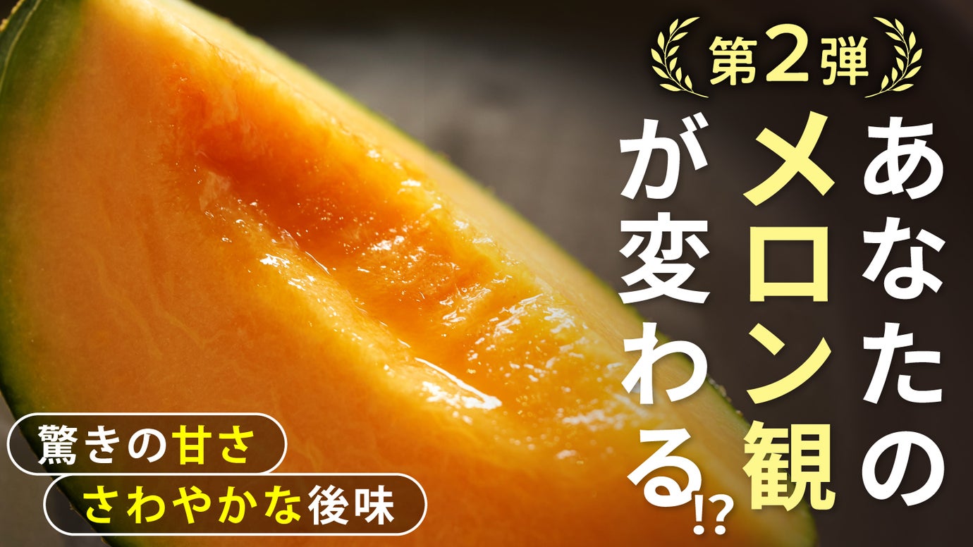 【第2弾】1玉ずつ収穫でしっかり甘い！選べる2色の【糖度15度以上】飯岡メロン