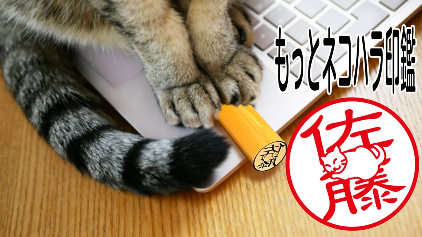 猫が名前の邪魔をするハンコ「もっとネコハラ印鑑」