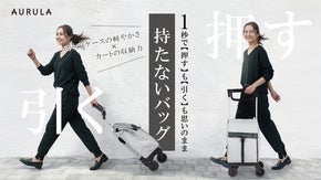 ８ｋｇ積載！お米や洗剤もコレ１台！２WAY仕様ハイブリッドカート