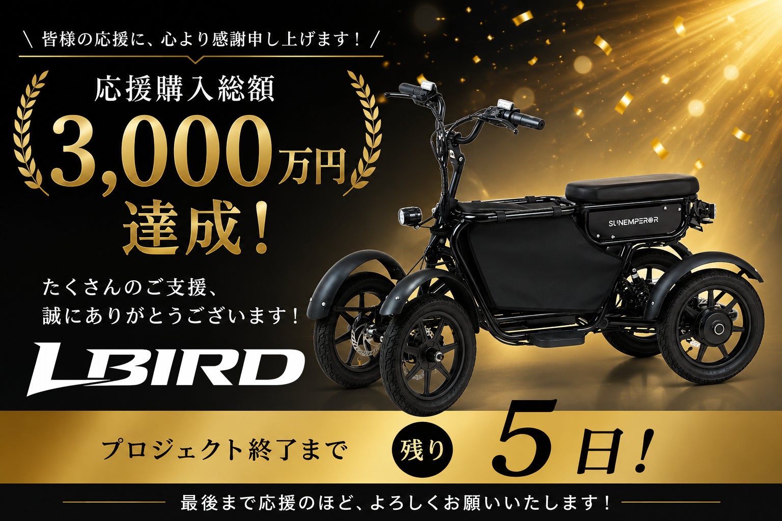 四輪の圧倒的安定感と高積載力｜免許不要の電動バイクLBIRD