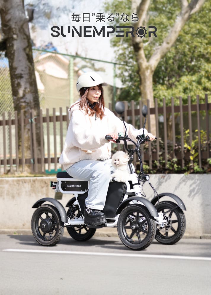 四輪の圧倒的安定感と高積載力｜免許不要の電動バイクLBIRD｜マクアケ