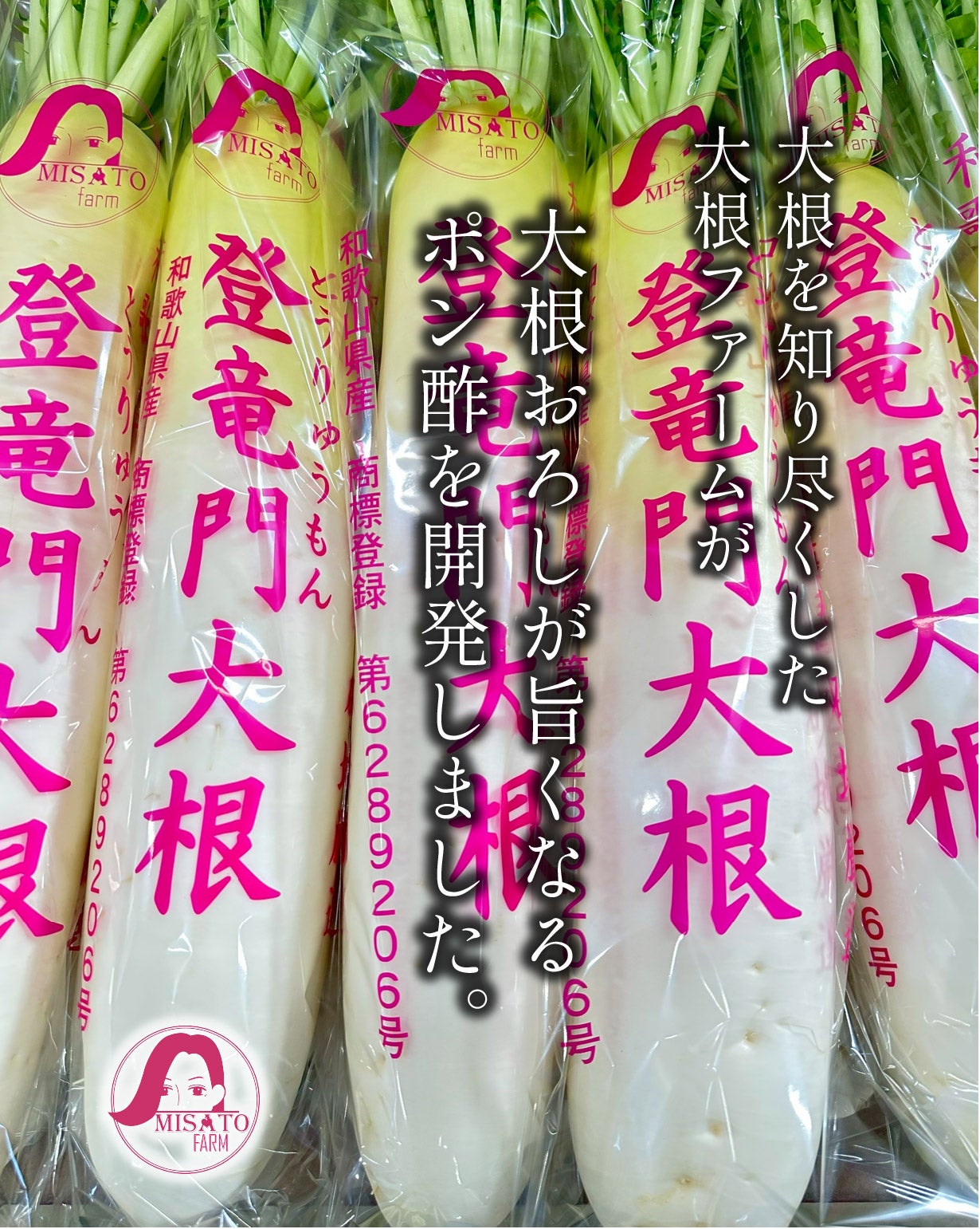 登竜門ブランド新作！おろしポン酢が旨くなる！大根農園が作る和歌山産