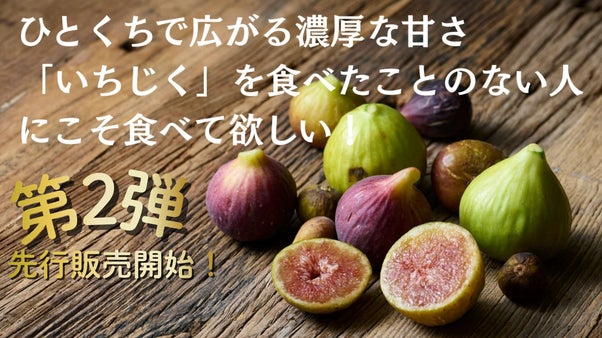 【全20種から厳選配送】「皮ごと食べれるいちじく」に拘り抜いた農家が先行販売！