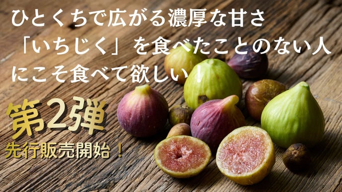 全20種から厳選配送】「皮ごと食べれるいちじく」に拘り抜いた農家が