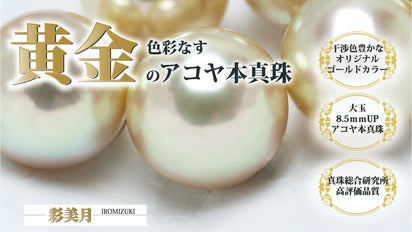 オリジナル調色で生まれた干渉色の強いゴールデンカラーのアコヤ本真珠
