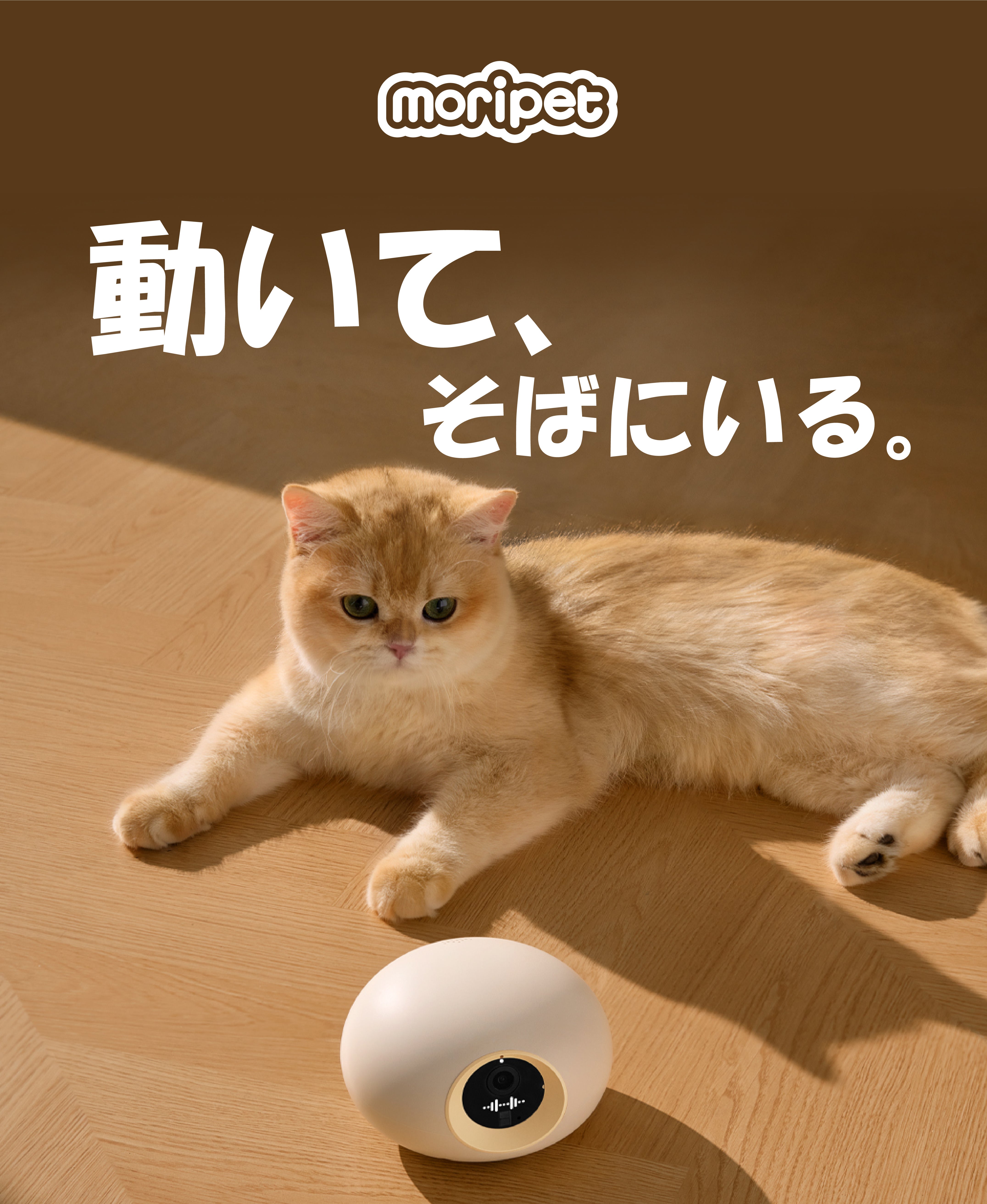 探して、話して、遊べる。家中どこでも動いて見守るペットカメラ