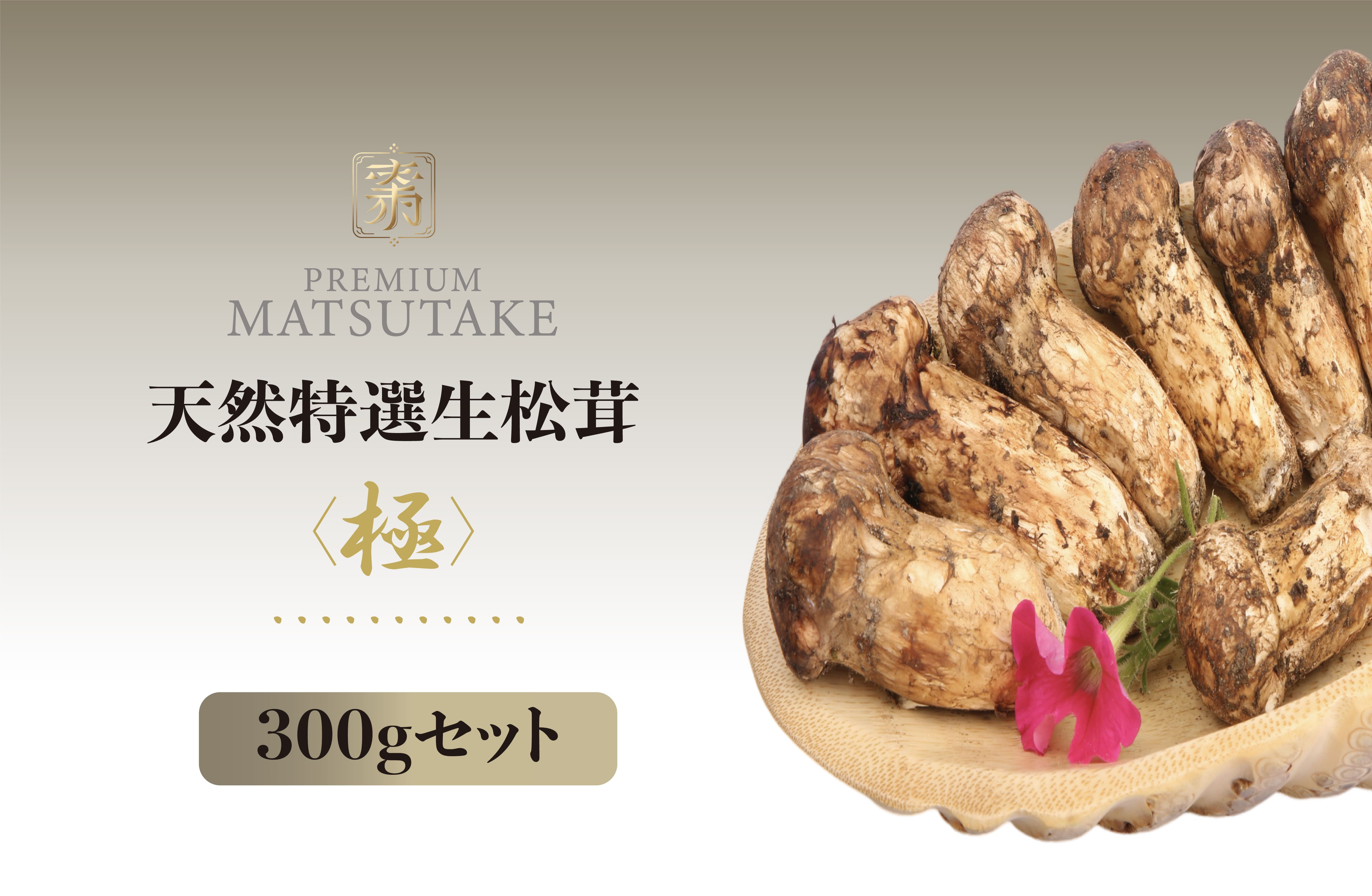 2026年もお届け】世界最大級の松茸産地直送！元プロが届ける「生松茸