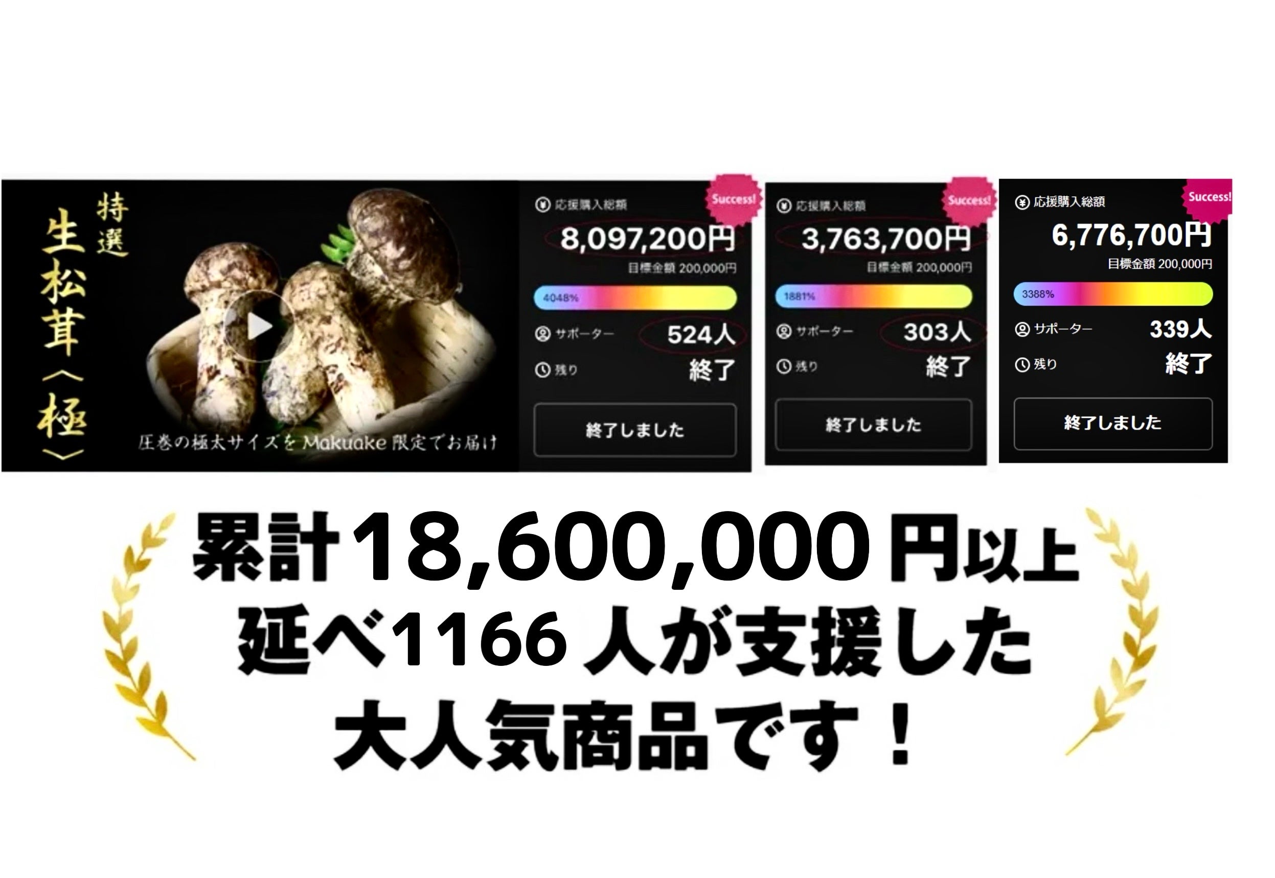 2026年もお届け】世界最大級の松茸産地直送！元プロが届ける「生松茸