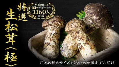 2026年もお届け】世界最大級の松茸産地直送！元プロが届ける「生松茸