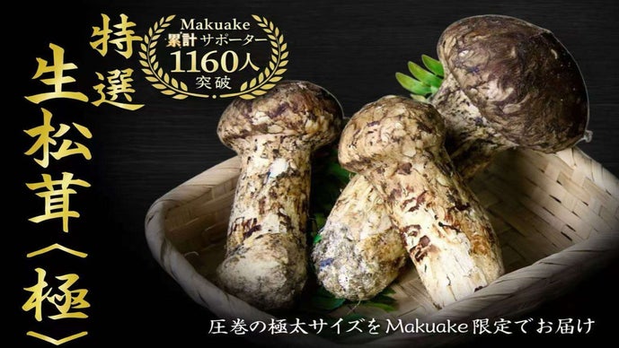 【2026年もお届け】世界最大級の松茸産地直送！元プロが届ける「生松茸〈極〉」