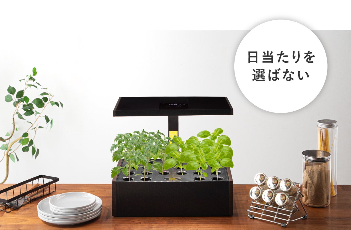 水だけで、ここまで育つ】室内が農園に。野菜も果物もこれ一台で完結