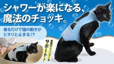 【シャワーが楽になる、魔法のチョッキ。】猫の動きが着るだけでピタリと止まる
