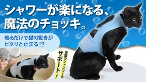 【シャワーが楽になる、魔法のチョッキ。】猫の動きが着るだけでピタリと止まる