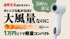 時短ヘアドライ！風速20m/秒・310g軽量コンパクト・低価格の爆風ドライヤー
