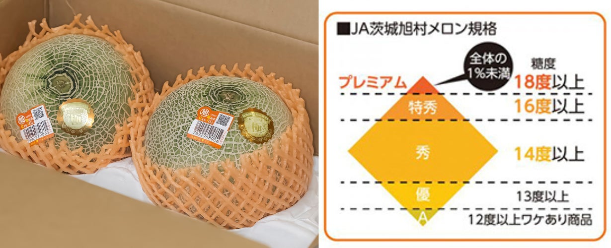 140糖度18度以上！茨城県旭村産プレミアムメロン極アンデス3Lサイズ1箱