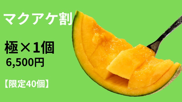 上位1％の奇跡、気絶するほど甘い茨城県産高級メロン『極』｜マクアケ