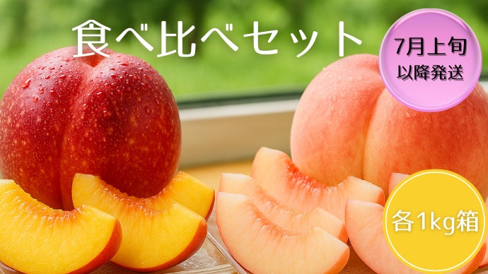 糖度保証】山梨直送｜木の先端で育った 秘伝の 桃＆名人が育てた幻の
