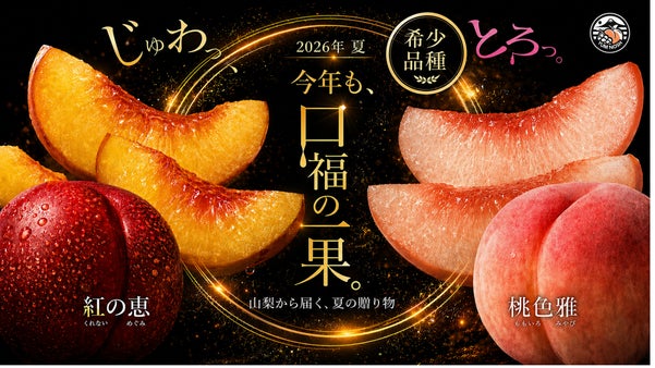 【糖度保証】山梨直送｜木の先端で育った 秘伝の 桃＆名人が育てた幻の ネクタリン