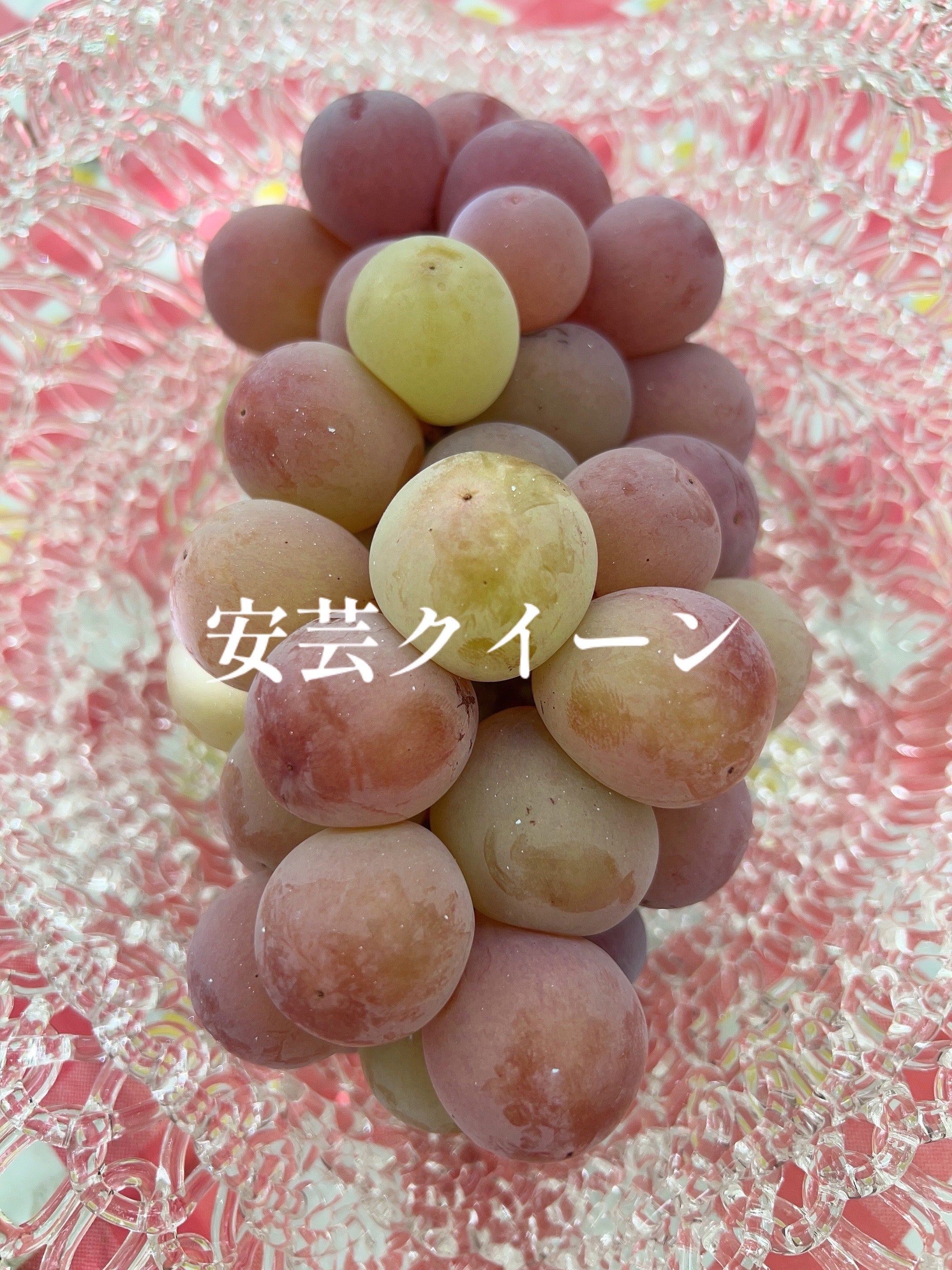2026年初物｜勝沼産ぶどうを農園直送｜ぶどうの真髄を味わう｜マクアケ