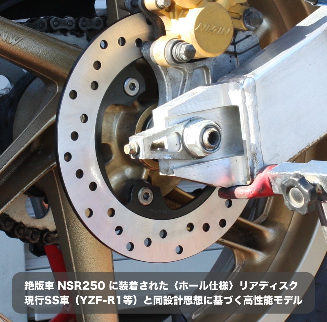 GOOSE専用リアディスク【ホール】SUNSTAR製・フロントに続く第二章