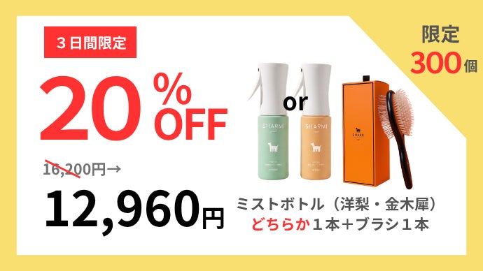 毎日がサロン帰りのような仕上がり】たったひと吹きで、魔法のように