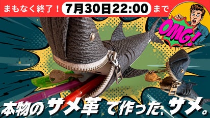 ジップでパクリ！？”気仙沼産サメ革” 小さなサメが守るマルチケース