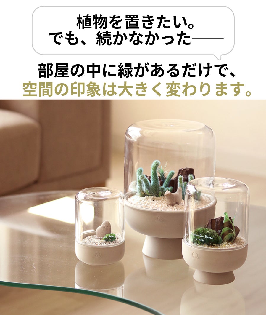 ガラスドームと手作り陶器ポットで手軽に育てる 苔テラリウム