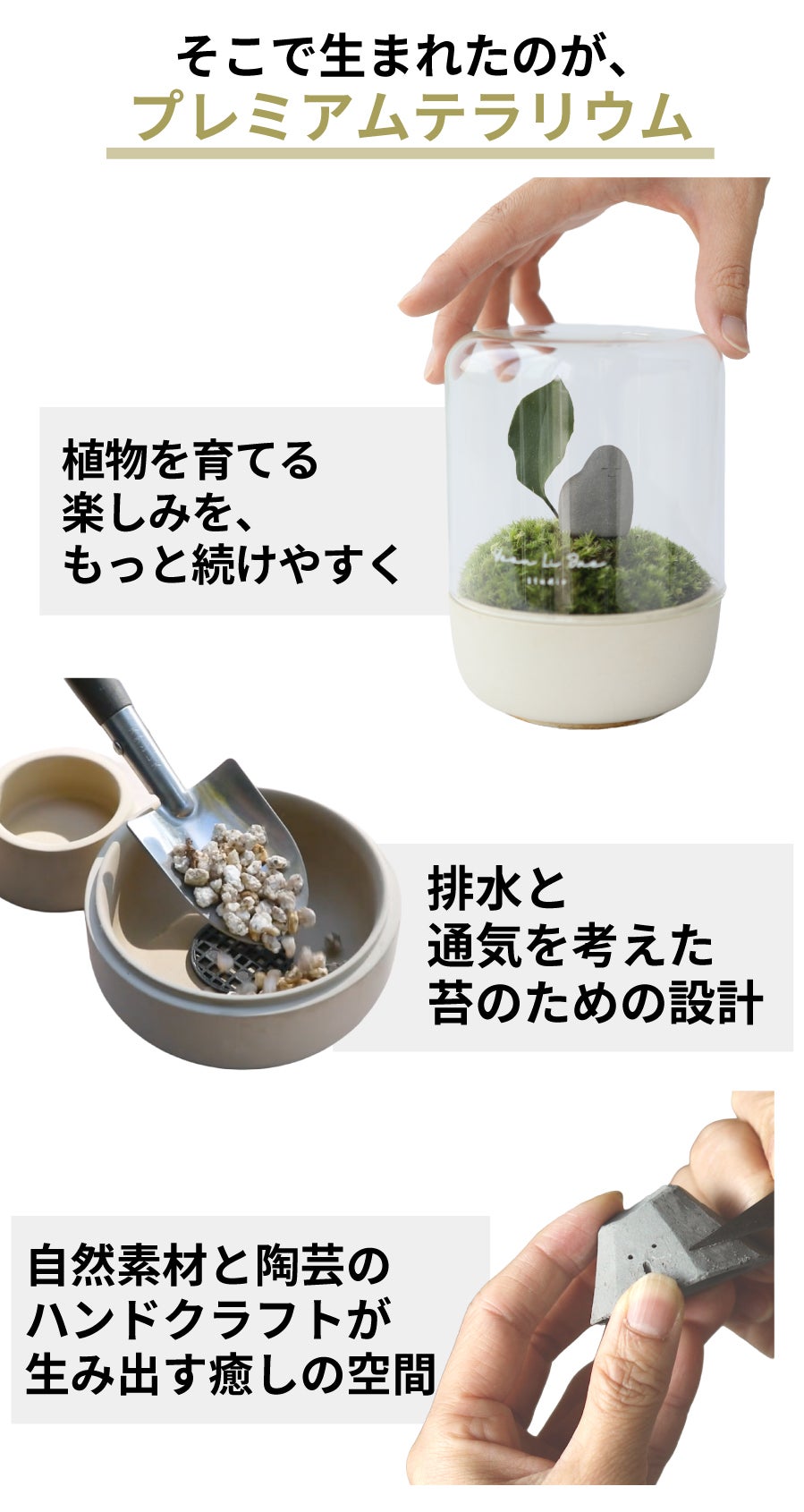 ガラスドームと手作り陶器ポットで手軽に育てる 苔テラリウム