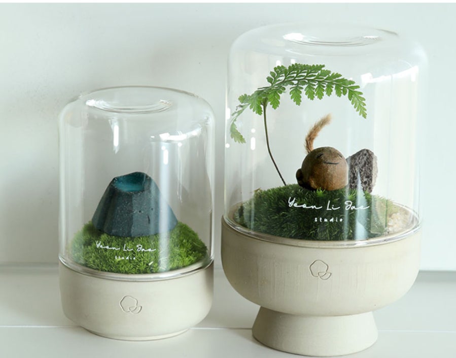 ガラスドームと手作り陶器ポットで手軽に育てる 苔テラリウム