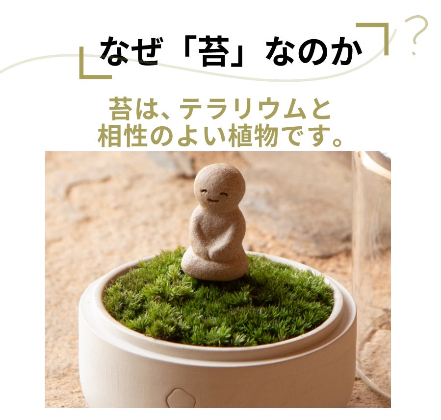 ガラスドームと手作り陶器ポットで手軽に育てる 苔テラリウム