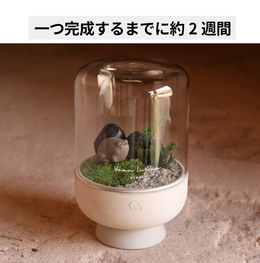 ガラスドームと手作り陶器ポットで手軽に育てる 苔テラリウム